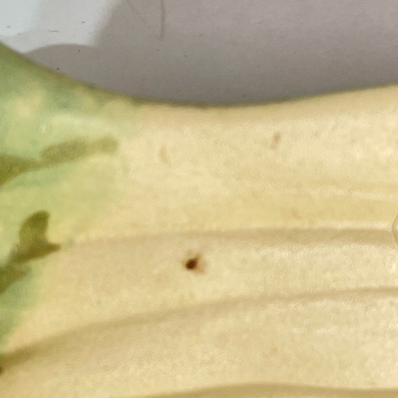 Vtg. Veg. Celery Tray / Sooon Rest - Picture 5 of 16